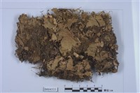 藏品(地卷屬)的圖片